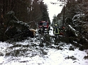 bild (25)